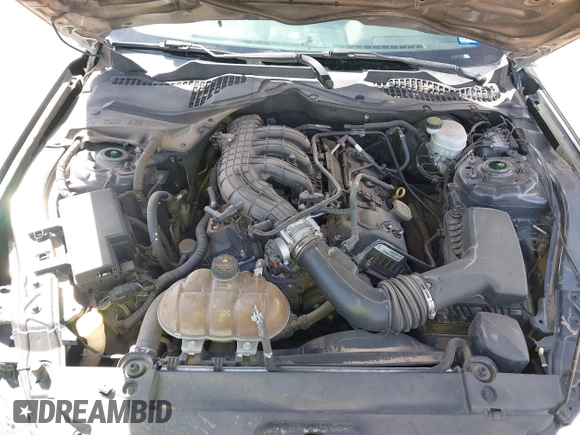2015 Ford Mustang V6 with VIN 1FA6P8AM5F5318400, listed as a IAAI auction lot 41812625 with 97,728 mi miles and . Bid and sale history available at DreamBid. Image 10.