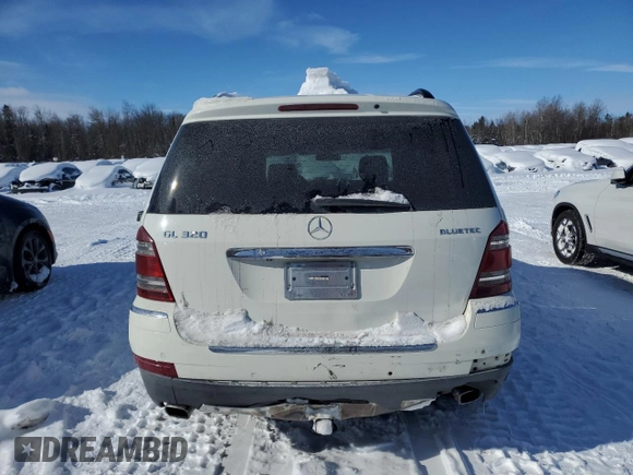 2009 Mercedes-Benz GL-Class 3.0L BlueTEC with VIN 4JGBF25E19A488045, listed as a Copart auction lot 46063375 with 242,880 mi miles and Clean Title. Bid and sale history available at carsss.com. Image 6.