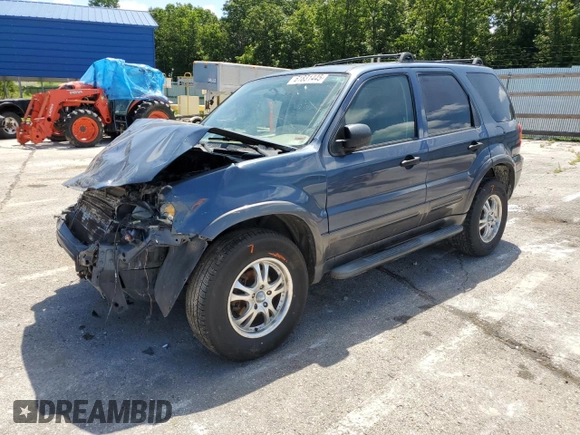 2006 Ford Escape XLT with VIN 1FMYU03146KA43518, listed as a Copart auction lot 61831445 with 191,612 mi miles and Salvage title. Bid and sale history available at DreamBid. Image 1.