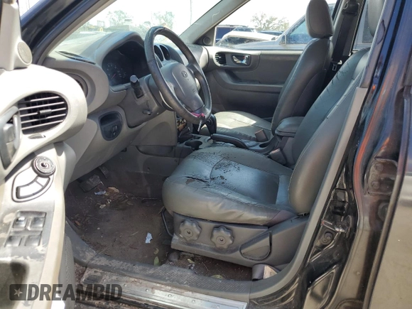 2002 Hyundai Santa Fe GLS with VIN KM8SC13D72U190570, listed as a Copart auction lot 77257524 with 244,808 mi miles and Salvage Title. Bid and sale history available at carsss.com. Image 7.