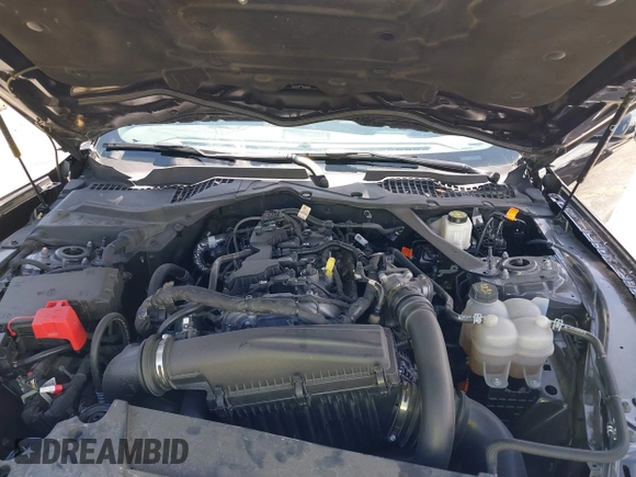 2024 Ford Mustang EcoBoost with VIN 1FAGP8UH9R5123133, listed as a IAAI auction lot 42538350 with 33,581 mi miles and . Bid and sale history available at DreamBid. Image 10.