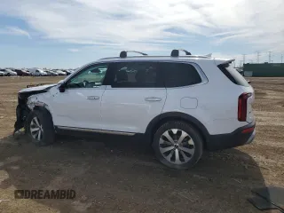 2022 Kia Telluride S with VIN 5XYP6DHC1NG324448, listed as a Copart auction lot 47869965 with 55,138 mi miles and Salvage Title. Bid and sale history available at DreamBid. Image 2.