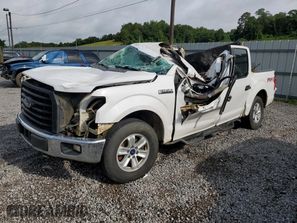 2015 Ford F-150 XLT with VIN 1FTEW1EF1FKF12791, listed as a Copart auction lot 60320115 with Not provided miles and Salvage title. Bid and sale history available at DreamBid. Image 1.