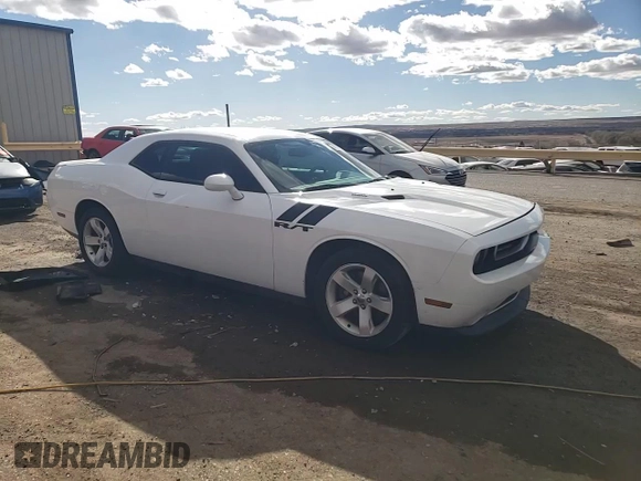 2013 Dodge Challenger R/T with VIN 2C3CDYBT3DH535790, listed as a Copart auction lot 48529355 with 250,497 mi miles and Salvage Title. Bid and sale history available at carsss.com. Image 13.