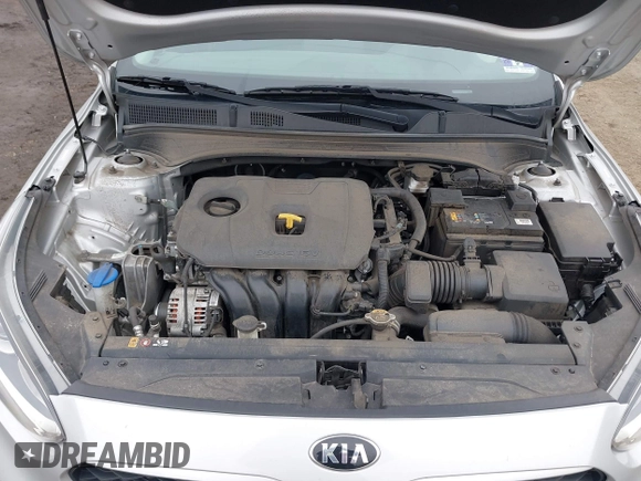 2019 Kia Forte LXS with VIN 3KPF24AD5KE125406, listed as a IAAI auction lot 41946484 with 43,391 mi miles and . Bid and sale history available at carsss.com. Image 10.
