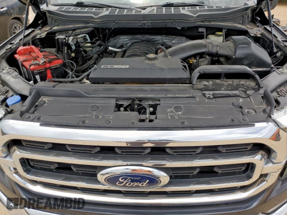 2021 Ford F-150 XL with VIN 1FTFW1E58MFB47964, listed as a Copart auction lot 66567635 with 71,300 mi miles and Clean title. Bid and sale history available at DreamBid. Image 11.