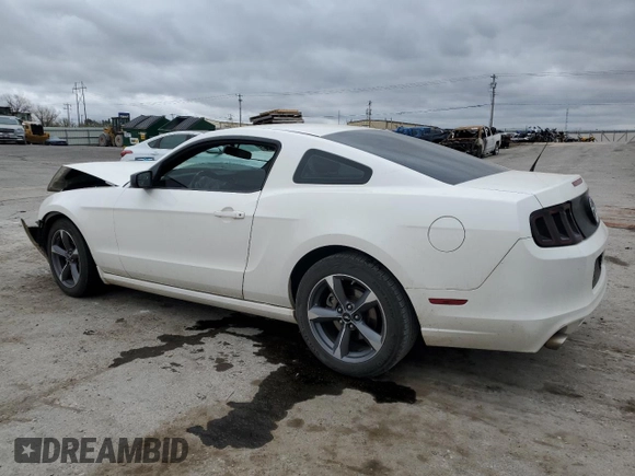 2013 Ford Mustang V6 with VIN 1ZVBP8AM4D5262212, listed as a Copart auction lot 51121685 with Not Provided miles and Salvage Title. Bid and sale history available at carsss.com. Image 2.