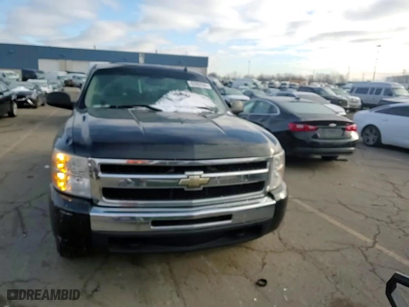 2009 Chevrolet Silverado 1500 Work Truck with VIN 1GCEK19C19Z285562, listed as a Copart auction lot 82902564 with 187,755 mi miles and Clean Title. Bid and sale history available at carsss.com. Image 10.