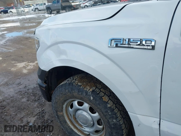 2017 Ford F-150 XL with VIN 1FTFX1EF9HFC85427, listed as a IAAI auction lot 41595903 with 176,235 mi miles. Bid and sale history available at carsss.com. Image 17.