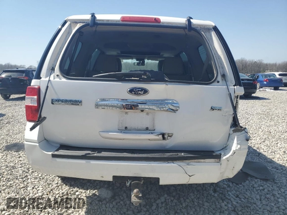 2010 Ford Expedition Limited with VIN 1FMJU1K55AEB69700, listed as a Copart auction lot 48839865 with 185,343 mi miles and Salvage title. Bid and sale history available at DreamBid. Image 6.