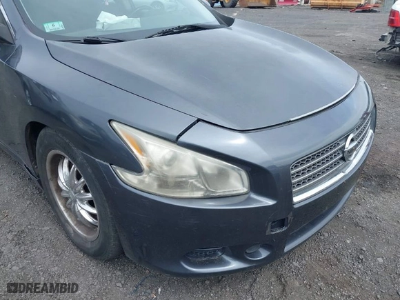 2009 Nissan Maxima 3.5 SV w/Sport Pkg with VIN 1N4AA51E19C853520, listed as a IAAI auction lot 41972778 with 172,981 mi miles. Bid and sale history available at carsss.com. Image 6.
