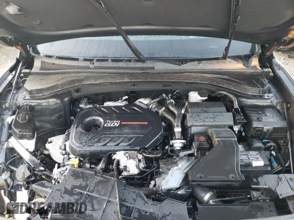 2020 Hyundai Santa Fe Limited with VIN 5NMS5CAA9LH234287, listed as a Copart auction lot 81342104 with 13,639 mi miles and Salvage Title. Bid and sale history available at carsss.com. Image 12.
