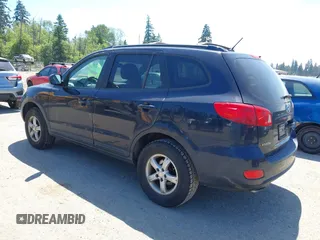 2007 Hyundai Santa Fe GLS z VIN 5NMSG13D77H040725, wystawiony jako IAAI lot #42455271 z przebiegiem 257 819 mil mil oraz . Historia ofert i sprzedaży dostępna na DreamBid. Obrazek 3.