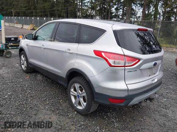 2013 Ford Escape SE with VIN 1FMCU9G94DUC37269, listed as a IAAI auction lot 41896473 with 130,391 mi miles. Bid and sale history available at carsss.com. Image 3.