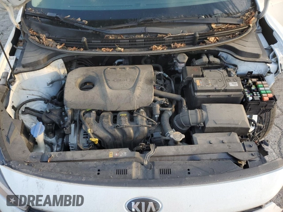 2019 Kia Rio S with VIN 3KPA24ABXKE182211, listed as a Copart auction lot 71970834 with 44,688 mi miles and Clean Title. Bid and sale history available at DreamBid. Image 11.