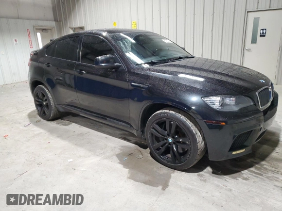 2010 BMW X6 M with VIN 5YMGZ0C52ALK13602, listed as a Copart auction lot 81732714 with 167,026 mi miles and Clean Title. Bid and sale history available at carsss.com. Image 4.