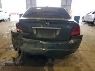 2004 Acura TL with VIN 19UUA66234A036244, listed as a Copart auction lot 46888675 with 0 mi miles and Salvage Title. Bid and sale history available at carsss.com. Image 6.