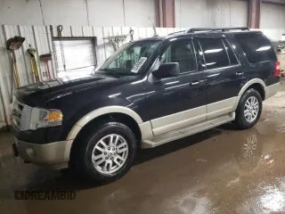 2010 Ford Expedition Eddie Bauer with VIN 1FMJU1J55AEB59198, listed as a Copart auction lot 52499065 with 130,865 mi miles and Salvage title. Bid and sale history available at DreamBid. Image 1.