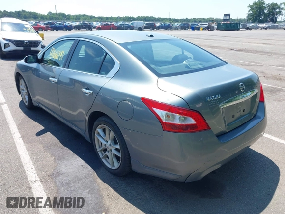 2010 Nissan Maxima SV with VIN 1N4AA5AP1AC863101, listed as a IAAI auction lot 42666749 with 210,426 mi miles and . Bid and sale history available at DreamBid. Image 3.