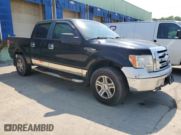 2009 Ford F-150 XL with VIN 1FTRW14809FA31805, listed as a Copart auction lot 59998575 with 199,115 mi miles and Clean title. Bid and sale history available at DreamBid. Image 4.
