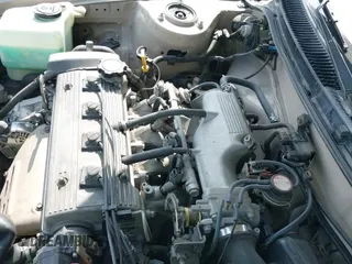 1995 Chevrolet Prizm с VIN 1Y1SK5280SZ055836, выставлен на аукционе IAAI как лот 42996935 с пробегом 155 628 миль миль и . История ставок и продаж доступна на DreamBid. Изображение 13.