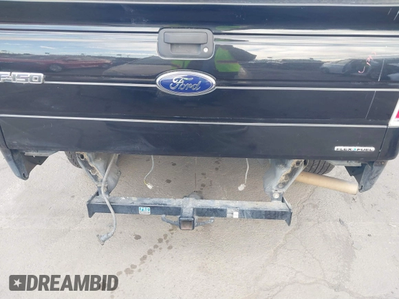 2014 Ford F-150 XL with VIN 1FTEW1CM7EKD71189, listed as a IAAI auction lot 41255410 with 176,249 mi miles. Bid and sale history available at carsss.com. Image 6.