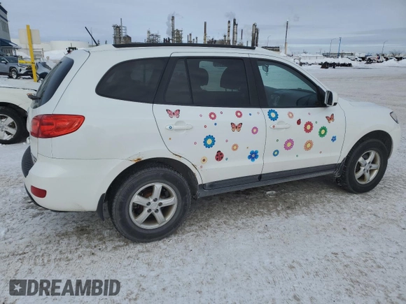 2009 Hyundai Santa Fe GL with VIN 5NMSG13E99H318861, listed as a Copart auction lot 46081195 with 294,793 mi miles and Clean title. Bid and sale history available at DreamBid. Image 3.