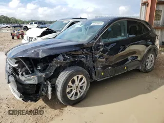 2023 Ford Escape Active with VIN 1FMCU0GN4PUA85619, listed as a Copart auction lot 50938075 with Not Provided miles and Salvage Title. Bid and sale history available at DreamBid. Image 1.