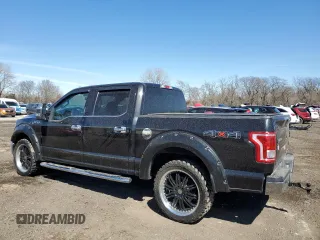 2015 Ford F-150 XLT with VIN 1FTEW1EF4FKD57184, listed as a Copart auction lot 49536075 with 75,767 mi miles and Salvage Title. Bid and sale history available at DreamBid. Image 2.