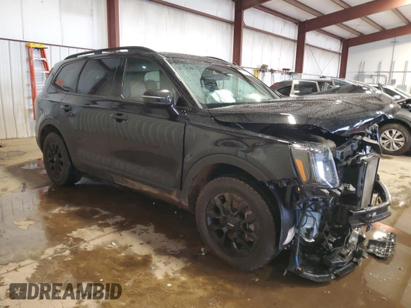 2024 Kia Telluride SX Prestige X-Pro with VIN 5XYP5DGC1RG498689, listed as a Copart auction lot 56469975 with 21,452 mi miles and Salvage title. Bid and sale history available at DreamBid. Image 4.