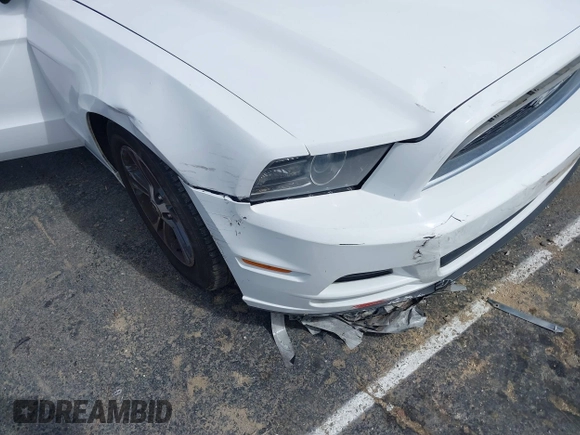 2014 Ford Mustang V6 with VIN 1ZVBP8EM4E5243008, listed as a IAAI auction lot 41572234 with 114,392 mi miles. Bid and sale history available at carsss.com. Image 6.