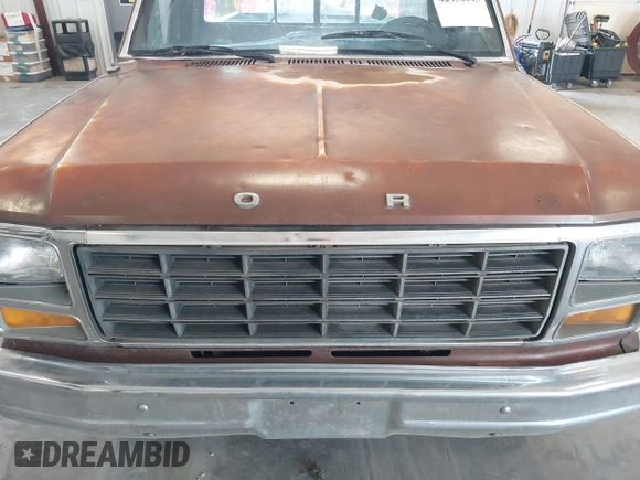 1981 Ford F-150 с VIN 1FTDF15F3BUA40006, выставлен на аукционе IAAI как лот 42456045 с пробегом 53 417 миль миль и . История ставок и продаж доступна на DreamBid. Изображение 6.