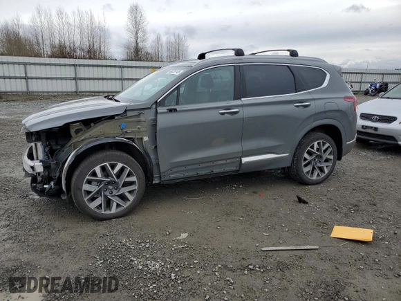 2023 Hyundai Santa Fe Calligraphy with VIN 5NMS5DAL2PH643292, listed as a Copart auction lot 48426145 with 16,666 mi miles and Salvage Title. Bid and sale history available at carsss.com. Image 1.