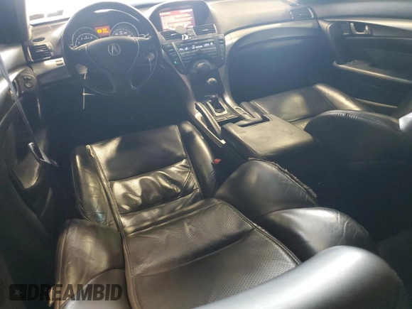 2009 Acura TL Tech with VIN 19UUA86549A018283, listed as a Copart auction lot 51913805 with 205,287 mi miles and Salvage Title. Bid and sale history available at carsss.com. Image 8.