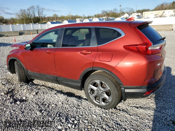2018 Honda CR-V EX-L with VIN 2HKRW2H84JH613464, listed as a Copart auction lot 53984255 with 55,494 mi miles and Salvage Title. Bid and sale history available at carsss.com. Image 2.