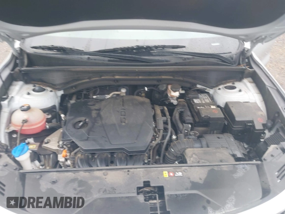 2021 Kia Sorento LX with VIN 5XYRG4LC7MG021606, listed as a IAAI auction lot 39290637 with 67,949 mi miles and . Bid and sale history available at DreamBid. Image 10.