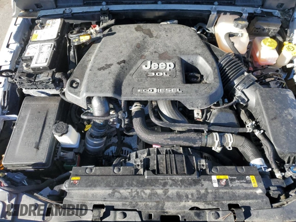 2022 Jeep Wrangler Unlimited Willys with VIN 1C4HJXDM7NW272815, listed as a Copart auction lot 80557734 with Not Provided miles and Clean Title. Bid and sale history available at DreamBid. Image 12.