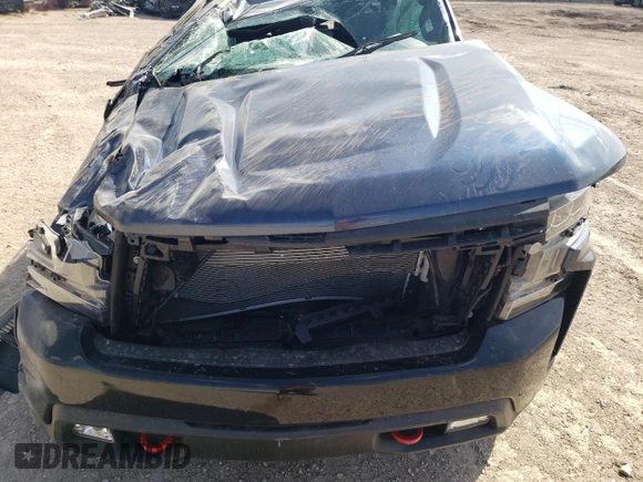 2022 Chevrolet Silverado 1500 LT Trail Boss with VIN 1GCPYFED6NZ124279, listed as a Copart auction lot 50719545 with Not Provided miles and Salvage Title. Bid and sale history available at DreamBid. Image 11.