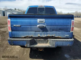 2010 Ford F-150 XL with VIN 1FTFW1EV9AFD59493, listed as a Copart auction lot 50614745 with 230,634 mi miles and Clean Title. Bid and sale history available at carsss.com. Image 6.