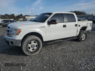 2013 Ford F-150 XL with VIN 1FTFW1EF6DFC13825, listed as a Copart auction lot 42406585 with 250,585 mi miles and Salvage Title. Bid and sale history available at carsss.com. Image 1.