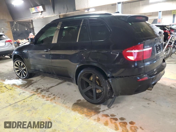 2010 BMW X5 M with VIN 5YMGY0C58ALK25854, listed as a Copart auction lot 87815685 with 0 mi miles and Salvage Title. Bid and sale history available at carsss.com. Image 2.