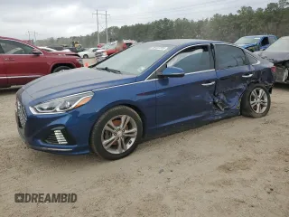 2019 Hyundai Sonata SEL with VIN 5NPE34AF4KH778458, listed as a Copart auction lot 49137255 with 86,993 mi miles and Salvage Title. Bid and sale history available at DreamBid. Image 1.
