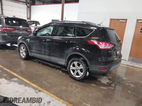 2013 Ford Escape SE with VIN 1FMCU9GX6DUC07446, listed as a IAAI auction lot 41089866 with 119,018 mi miles. Bid and sale history available at carsss.com. Image 3.