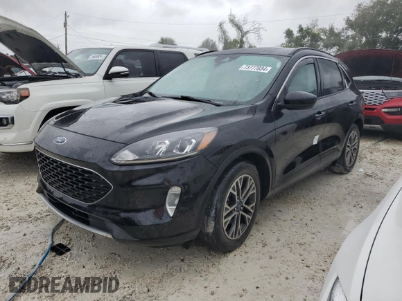 2020 Ford Escape SEL with VIN 1FMCU0H61LUB07822, listed as a Copart auction lot 73777834 with Not provided miles and Salvage title. Bid and sale history available at DreamBid. Image 1.