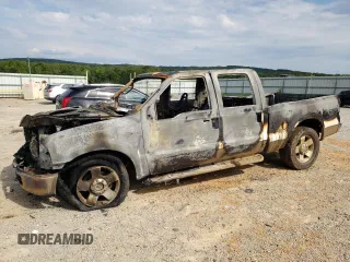 2006 Ford Super Duty F-250 XL with VIN 1FTSW21P66EA23759, listed as a Copart auction lot 67297174 with 0 mi miles and Non Repairable. Bid and sale history available at carsss.com. Image 1.