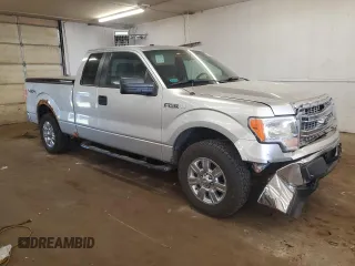 2013 Ford F-150 XL with VIN 1FTFX1EF1DFA81215, listed as a Copart auction lot 63077885 with 300,634 mi miles and Non repairable. Bid and sale history available at DreamBid. Image 4.