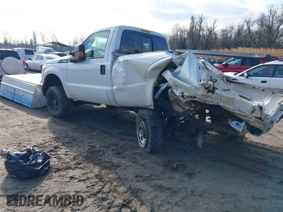 2015 Ford F-250 XLT with VIN 1FTBF2B63FEB97343, listed as a IAAI auction lot 41536666 with 172,170 mi miles and . Bid and sale history available at DreamBid. Image 3.