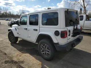 2025 Jeep Wrangler Sahara with VIN 1C4PJXENXSW506251, listed as a Copart auction lot 44613595 with 3,917 mi miles and Clean Title. Bid and sale history available at DreamBid. Image 2.