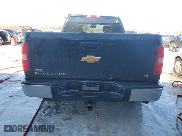 2010 Chevrolet Silverado 1500 LS with VIN 1GCSKREA0AZ215576, listed as a Copart auction lot 43998635 with 161,094 mi miles and Clean Title. Bid and sale history available at DreamBid. Image 6.