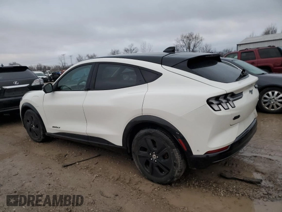 2021 Ford Mustang Mach-E California Route 1 with VIN 3FMTK2R76MMA01865, listed as a Copart auction lot 87242064 with 75,719 mi miles and Salvage Title. Bid and sale history available at DreamBid. Image 2.